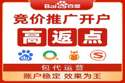 百度推广全攻略：成功案例剖析